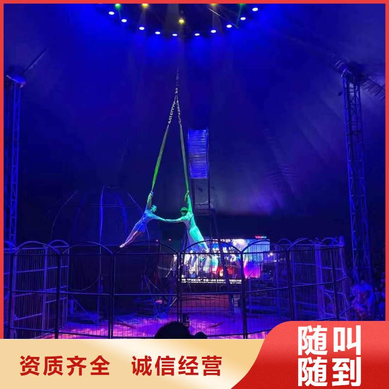 【马戏团/羊驼】租赁美人鱼表演免费咨询