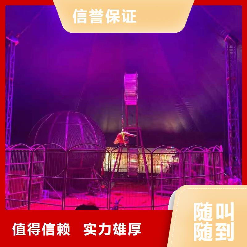 马戏团/羊驼_【美人鱼表演】先进的技术