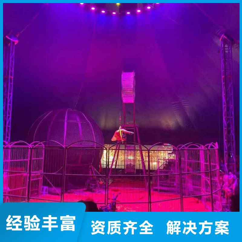 马戏团/羊驼企鹅租赁值得信赖