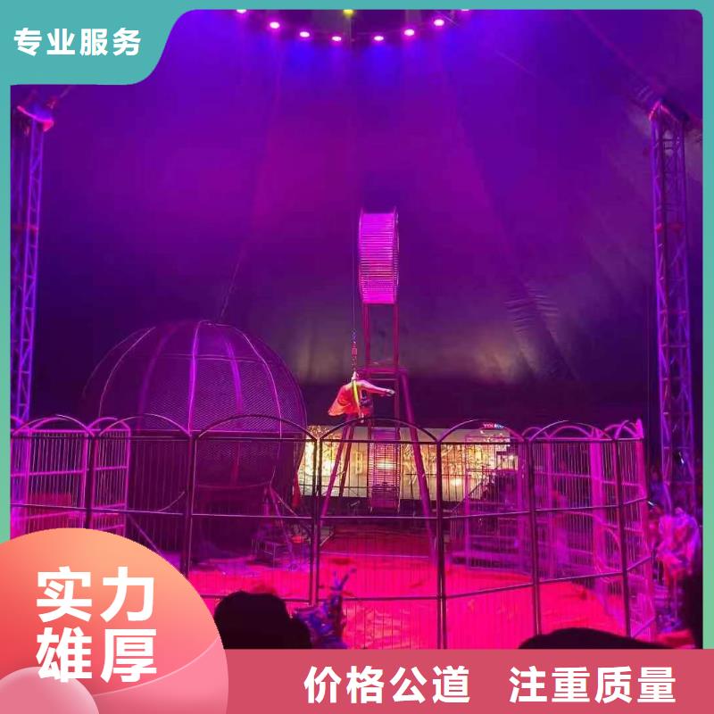 马戏团/羊驼鹦鹉表演租赁品质服务