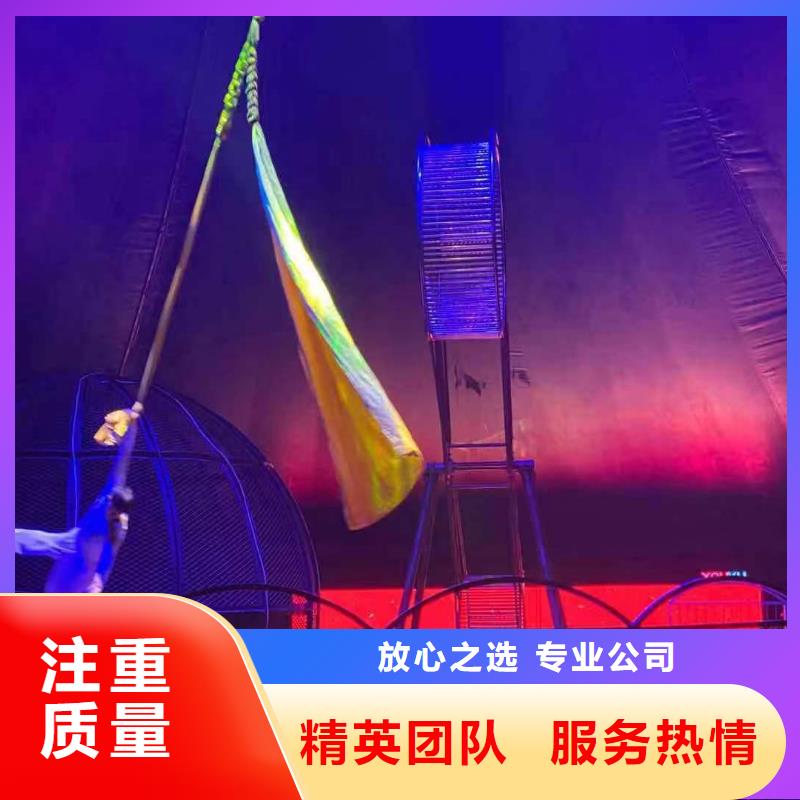 马戏团/羊驼美人鱼表演从业经验丰富