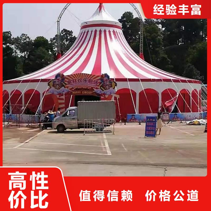 马戏团/羊驼【海狮表演】团队