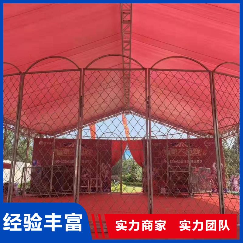 【马戏团/羊驼】动物表演出租多家服务案例