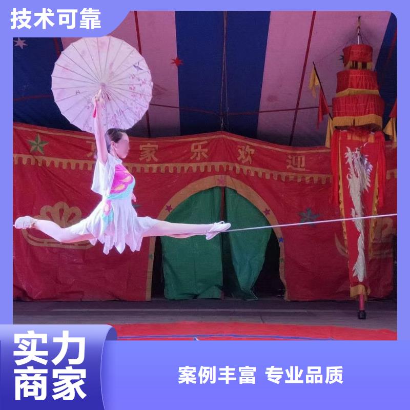 马戏团/羊驼【杂耍演出】优质服务