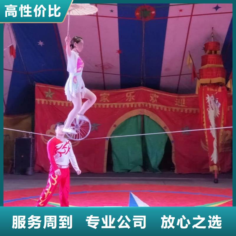 【马戏团/羊驼】羊驼出租多年行业经验