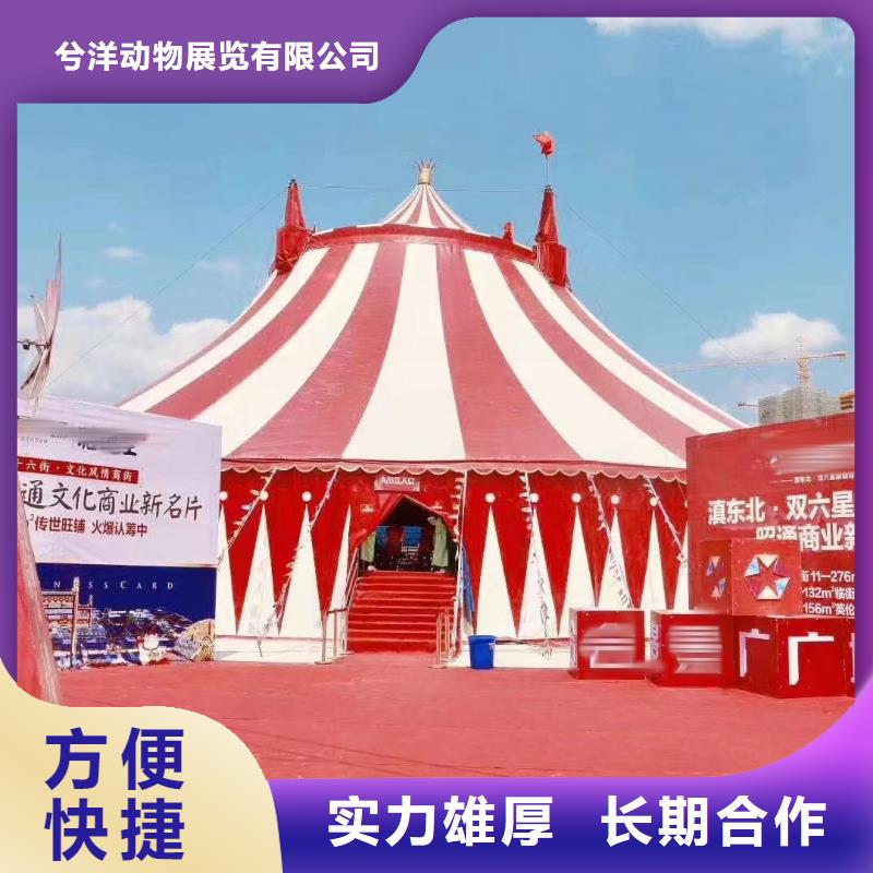 马戏团/羊驼出租企鹅拒绝虚高价