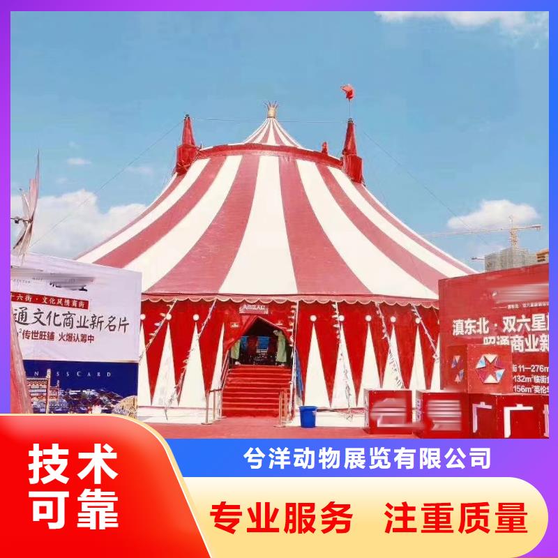 马戏团/羊驼海豚表演诚信