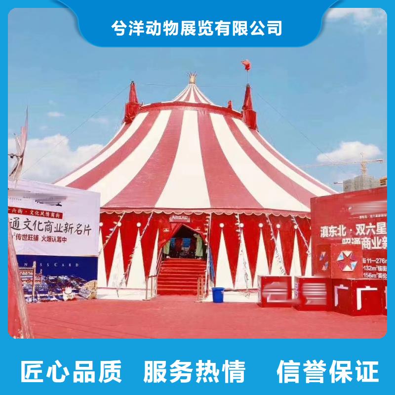 马戏团/羊驼_出租表演企鹅讲究信誉