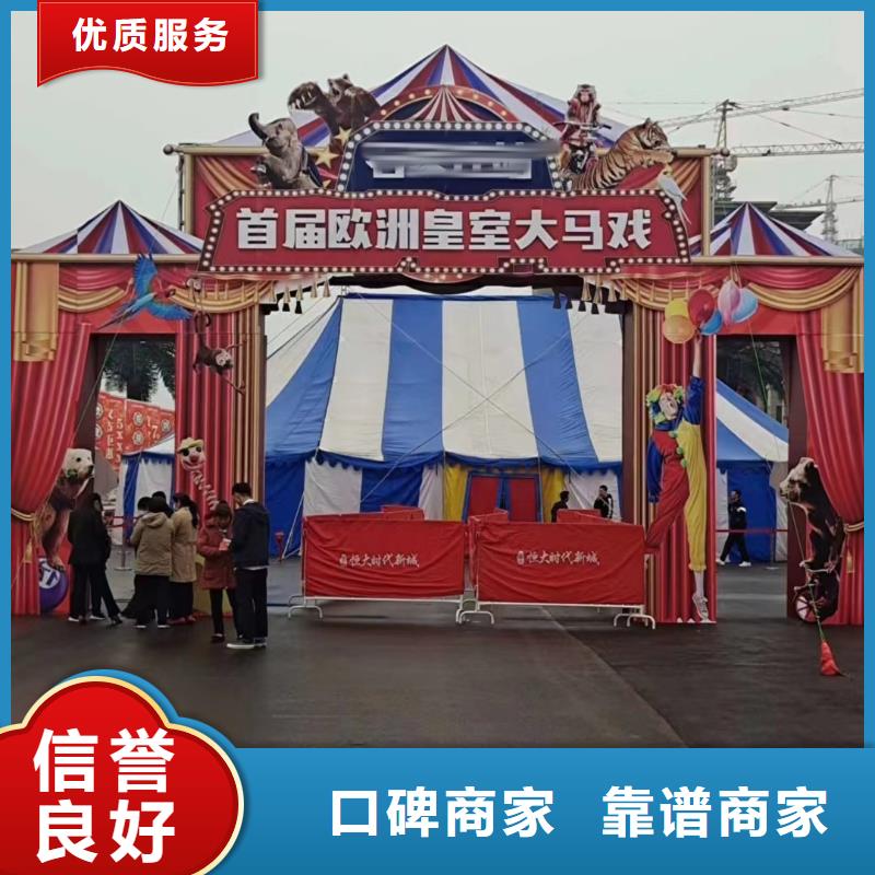 马戏团/羊驼动物表演租赁欢迎询价