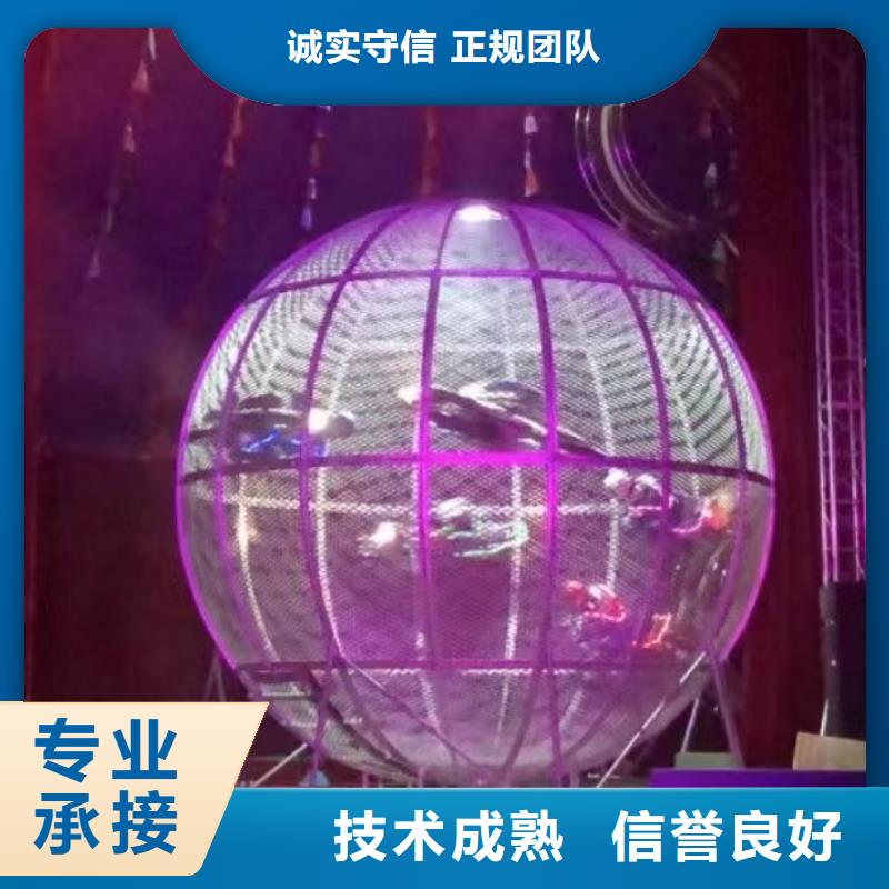 马戏团/羊驼马戏团表演案例丰富