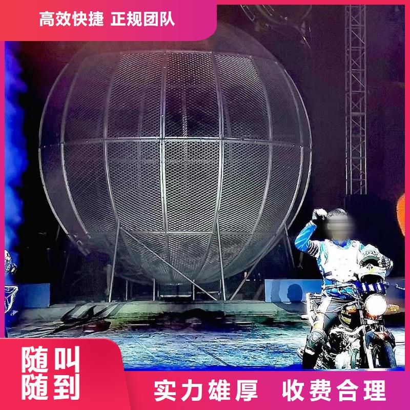 马戏团/羊驼海洋展租赁先进的技术