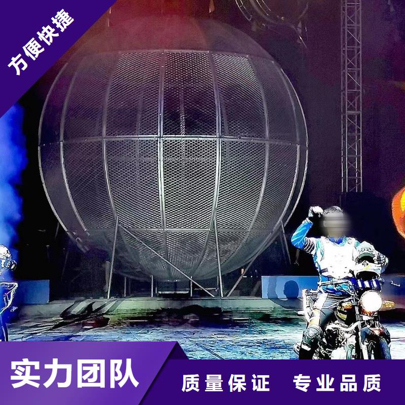 【马戏团/羊驼】羊驼出租多年行业经验