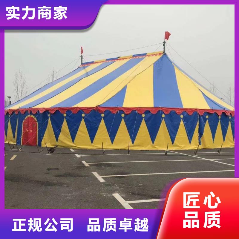 马戏团/羊驼-海狮表演出租品质卓越