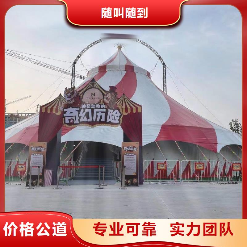 马戏团/羊驼-海狮表演出租品质卓越