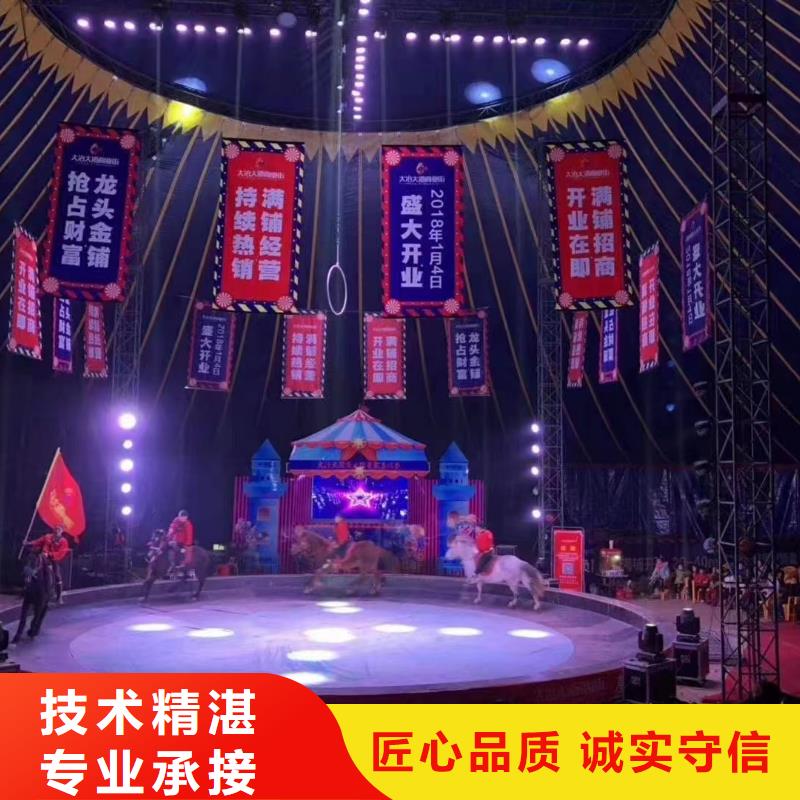 马戏团/羊驼,【企鹅表演】质优价廉