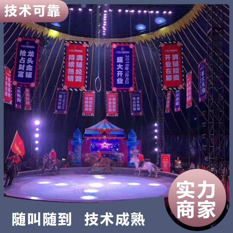 马戏团/羊驼-海狮表演出租品质卓越