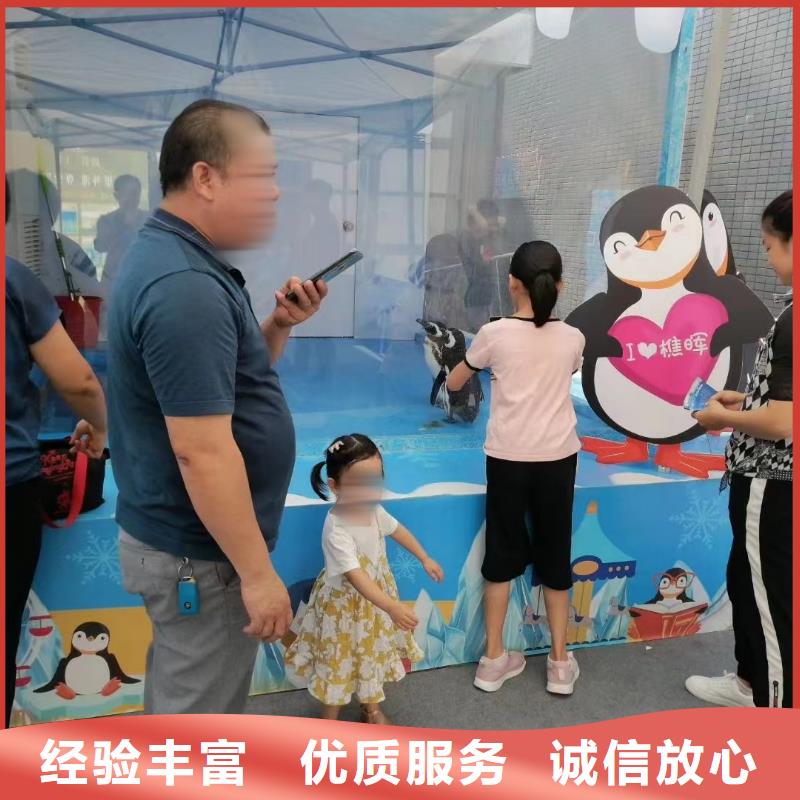 【海洋主题动物表演出租表演萌宠随叫随到】