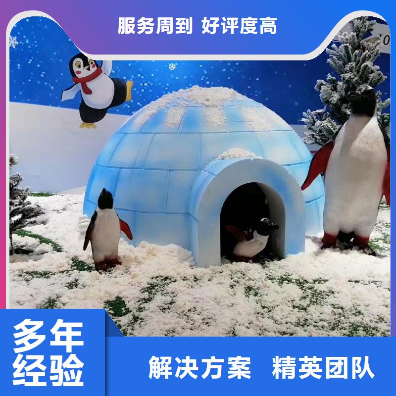 海洋主题动物表演,海狮表演出租一站搞定