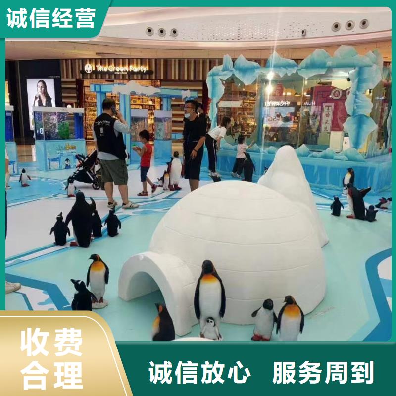 海洋主题动物表演【动物杂技表演租赁】全市24小时服务