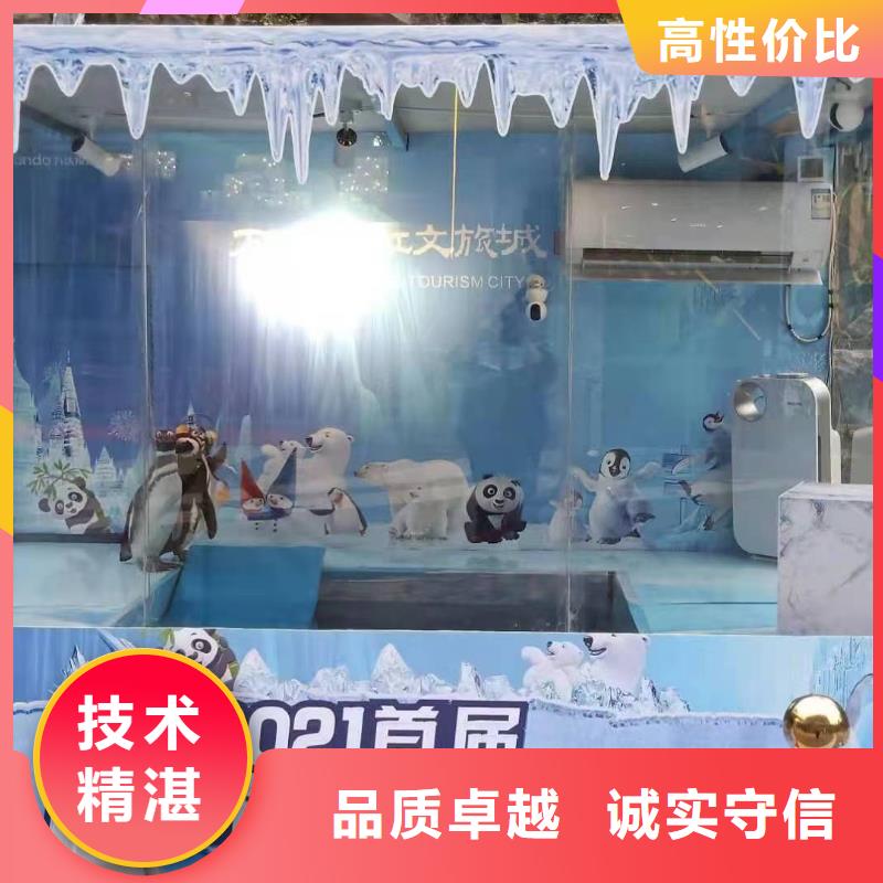 海洋主题动物表演小马戏表演出租