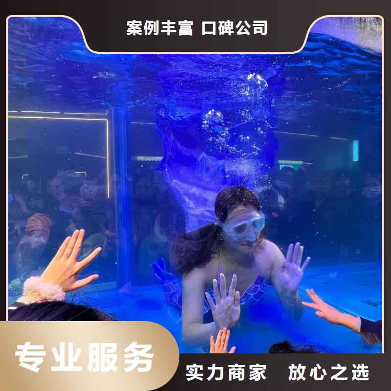 海洋主题动物表演-出租马戏表演价格透明