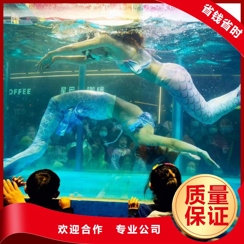 【海洋主题动物表演-商场马戏表演出租正规】