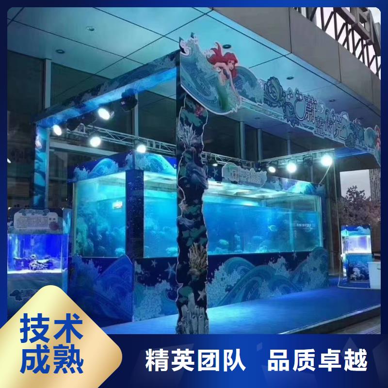 海洋主题动物表演马戏团表演出租租赁先进的技术