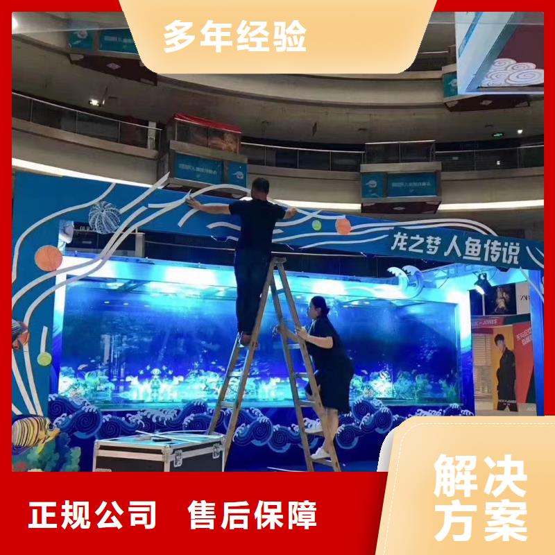 【海洋主题动物表演】美人鱼表演信誉良好
