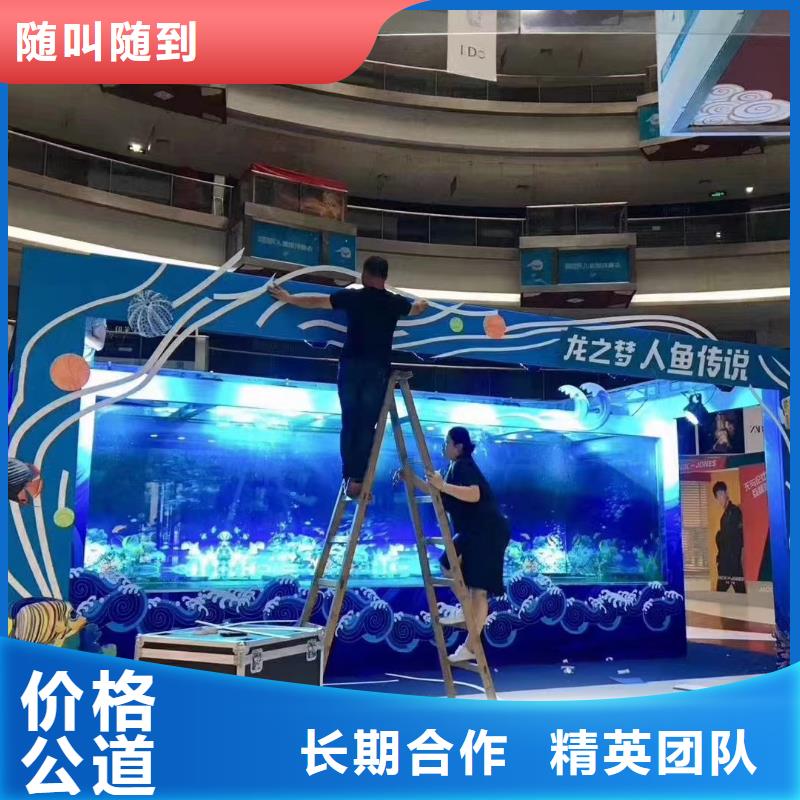海洋主题动物表演驯兽表演靠谱商家
