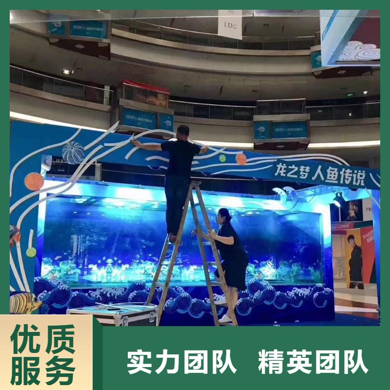 海洋主题动物表演,出租表演鹦鹉高品质