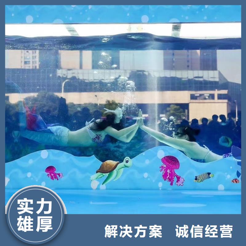 海洋主题动物表演-房地产开盘庆典实力公司