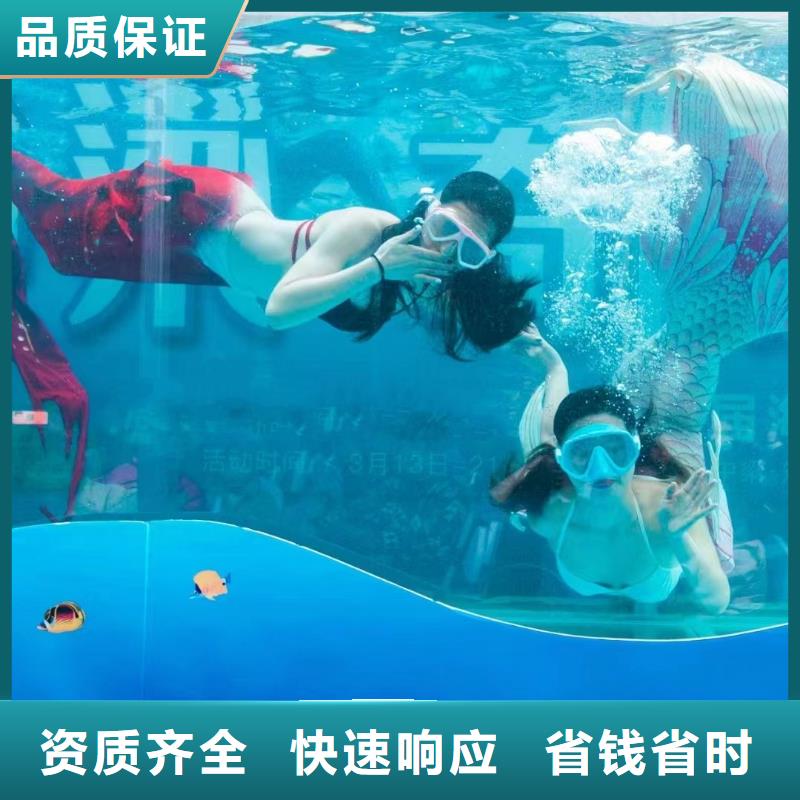 海洋主题动物表演观赏性羊驼租赁多年行业经验