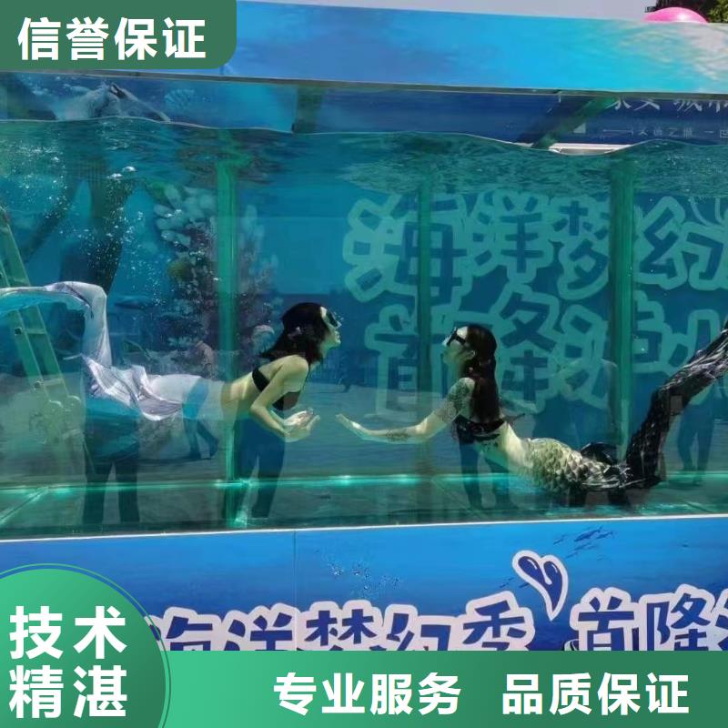 海洋主题动物表演【【海狮杂技表演】】诚信经营