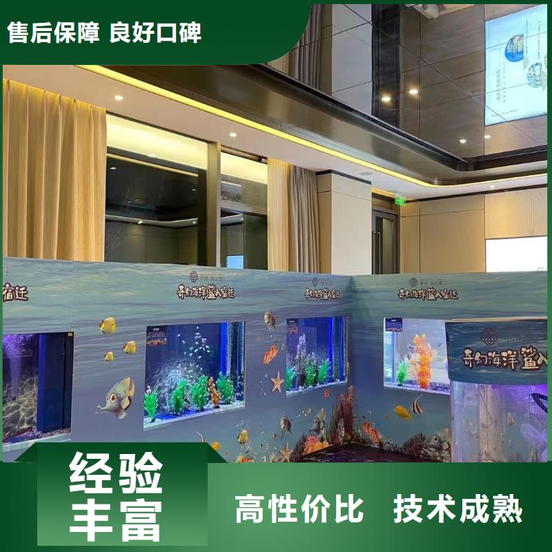 【海洋主题动物表演海狮演出正规公司】