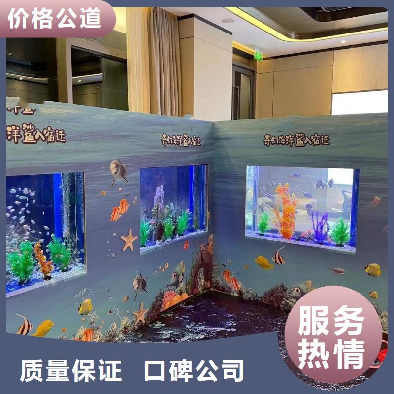 海洋主题动物表演【出租企鹅表演】实力雄厚