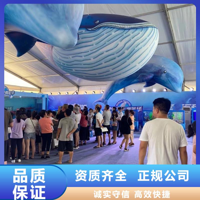 【海洋主题动物表演】海狮表演出租品质卓越