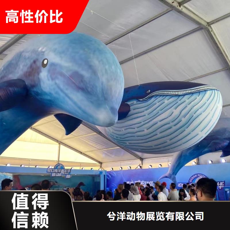 【海洋主题动物表演海狮演出正规公司】