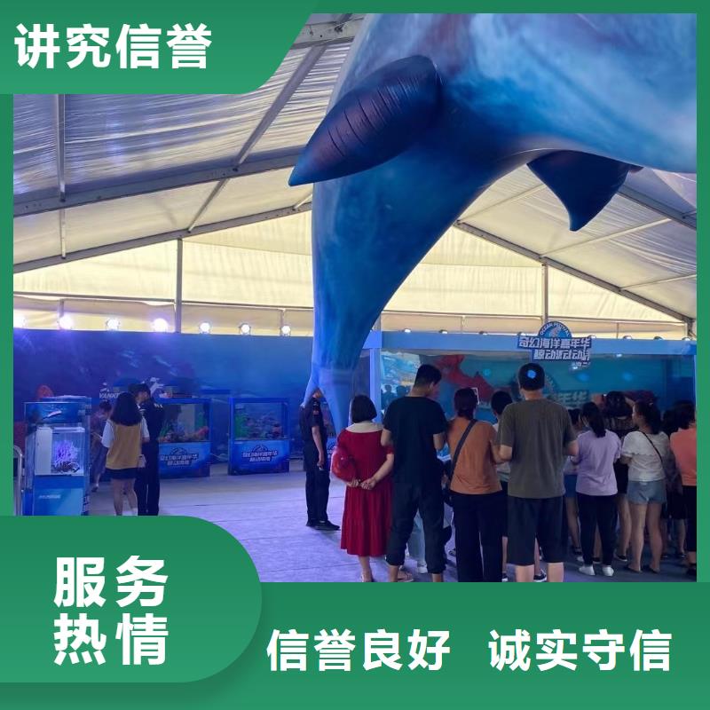 海洋主题动物表演【美人鱼表演】快速