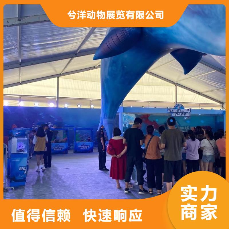 【海洋主题动物表演】出租动物表演专业品质
