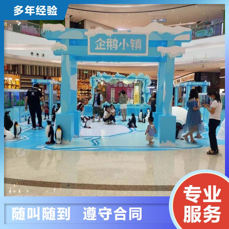 海洋主题动物表演【羊驼出租】欢迎询价