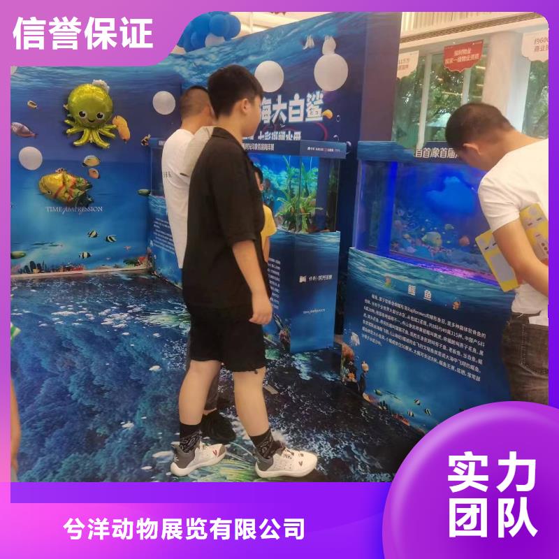 海洋主题动物表演【【企鹅表演出租】】服务周到
