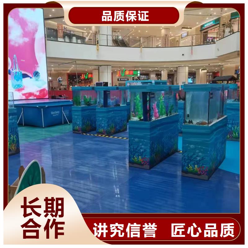 海洋主题动物表演环球飞车表演出租快速响应