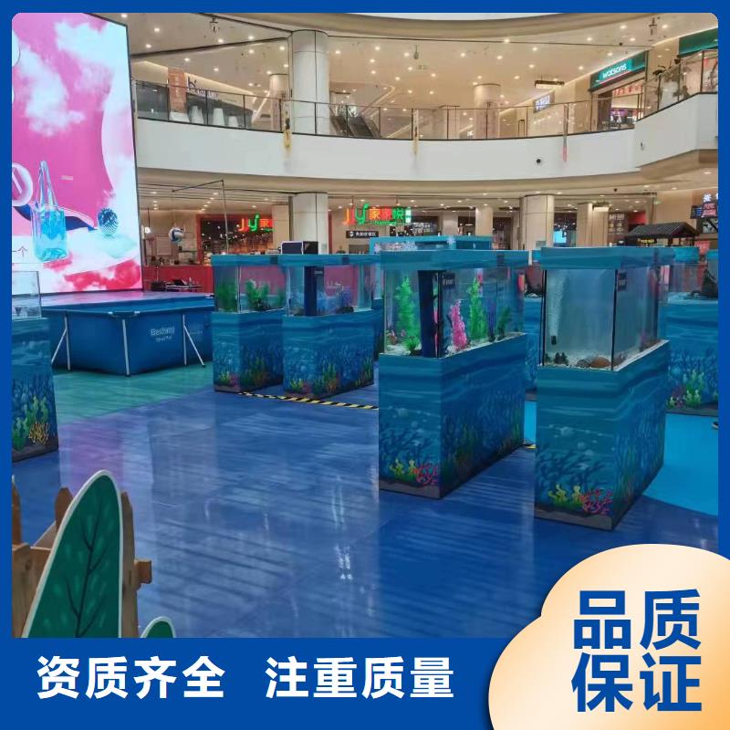 海洋主题动物表演 动物表演出租多家服务案例