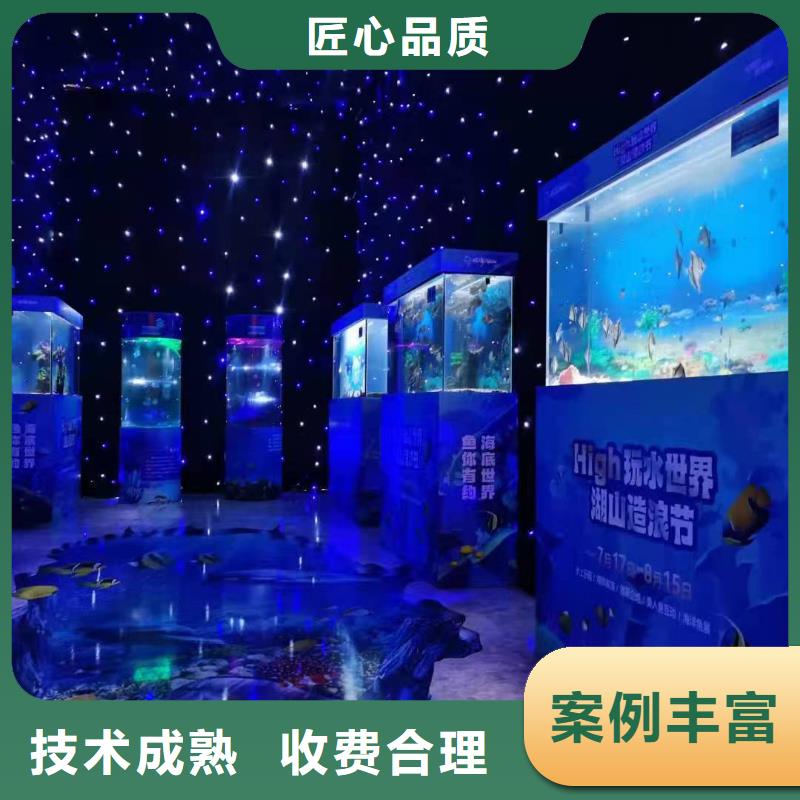 海洋主题动物表演海狮表演出租快捷