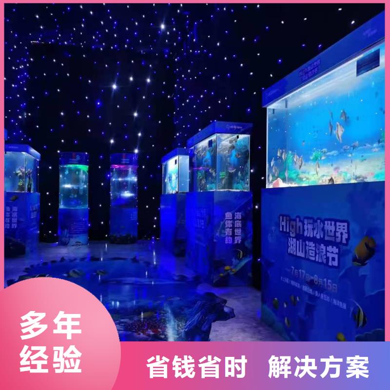 海洋主题动物表演【小马戏表演出租】正规公司