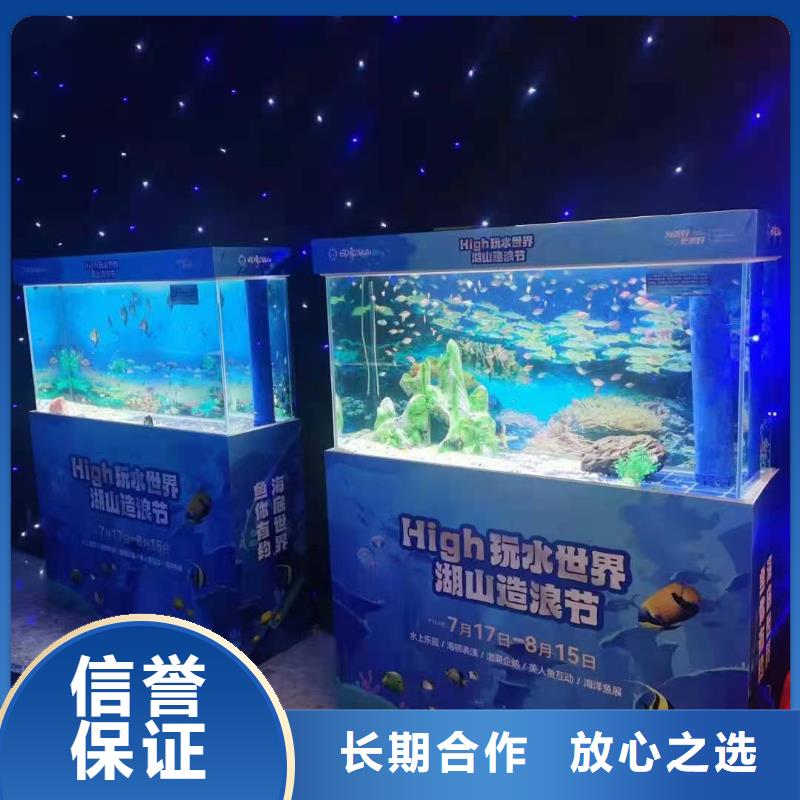 海洋主题动物表演,马戏团出租 专业品质