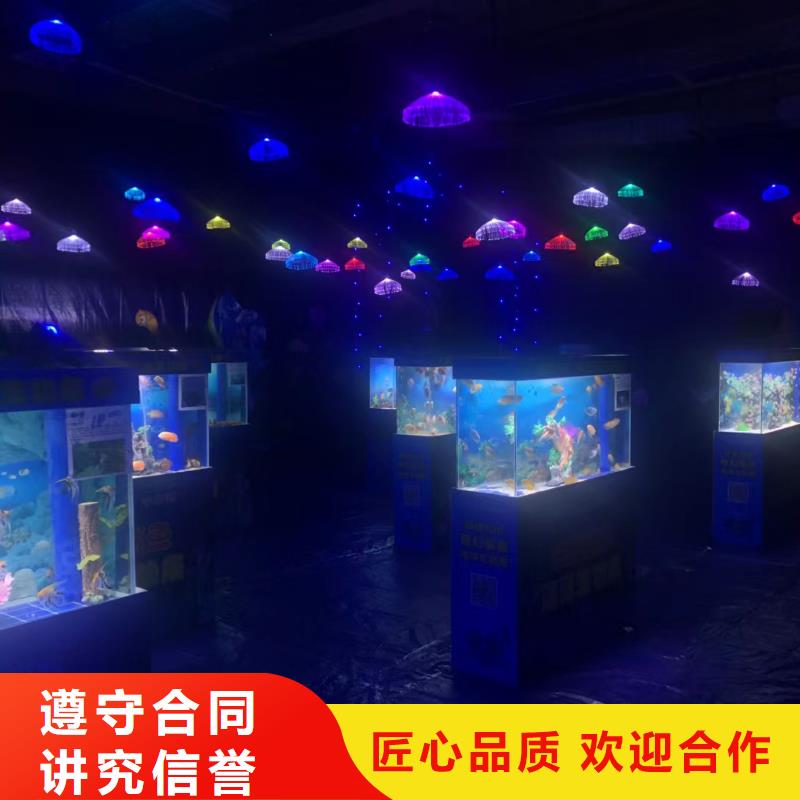 海洋主题动物表演美人鱼表演专业公司
