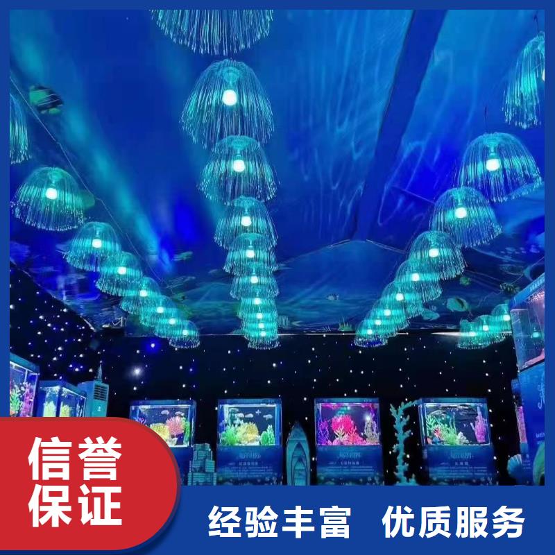 海洋主题动物表演,海狮表演出租一站搞定