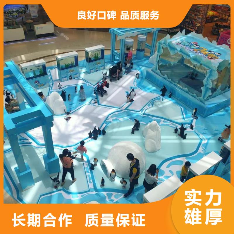 海洋主题动物表演杂技表演租赁服务放心之选