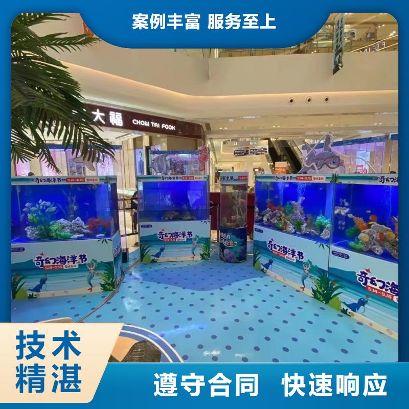 海洋主题动物表演,马戏团出租 专业品质